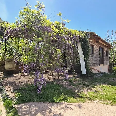 Nice In With 1 Bedrooms And Outdoor Swimming Pool *